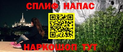 СК Новокубанск