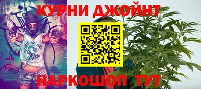 ECSTASY Новозыбков