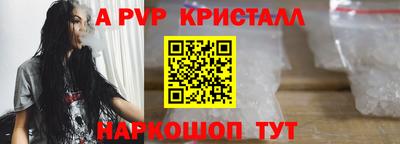 СК Новокубанск