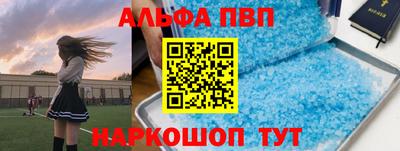 ECSTASY Новозыбков