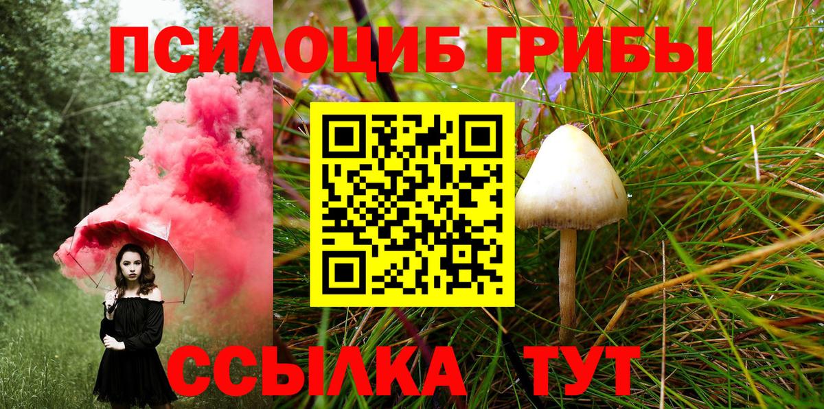 Тара  Псилоцибиновые грибы GOLDEN TEACHER  Вход с VPN 